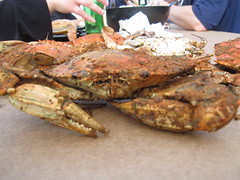 Advertising Tax Talk and Crab Feast Photos