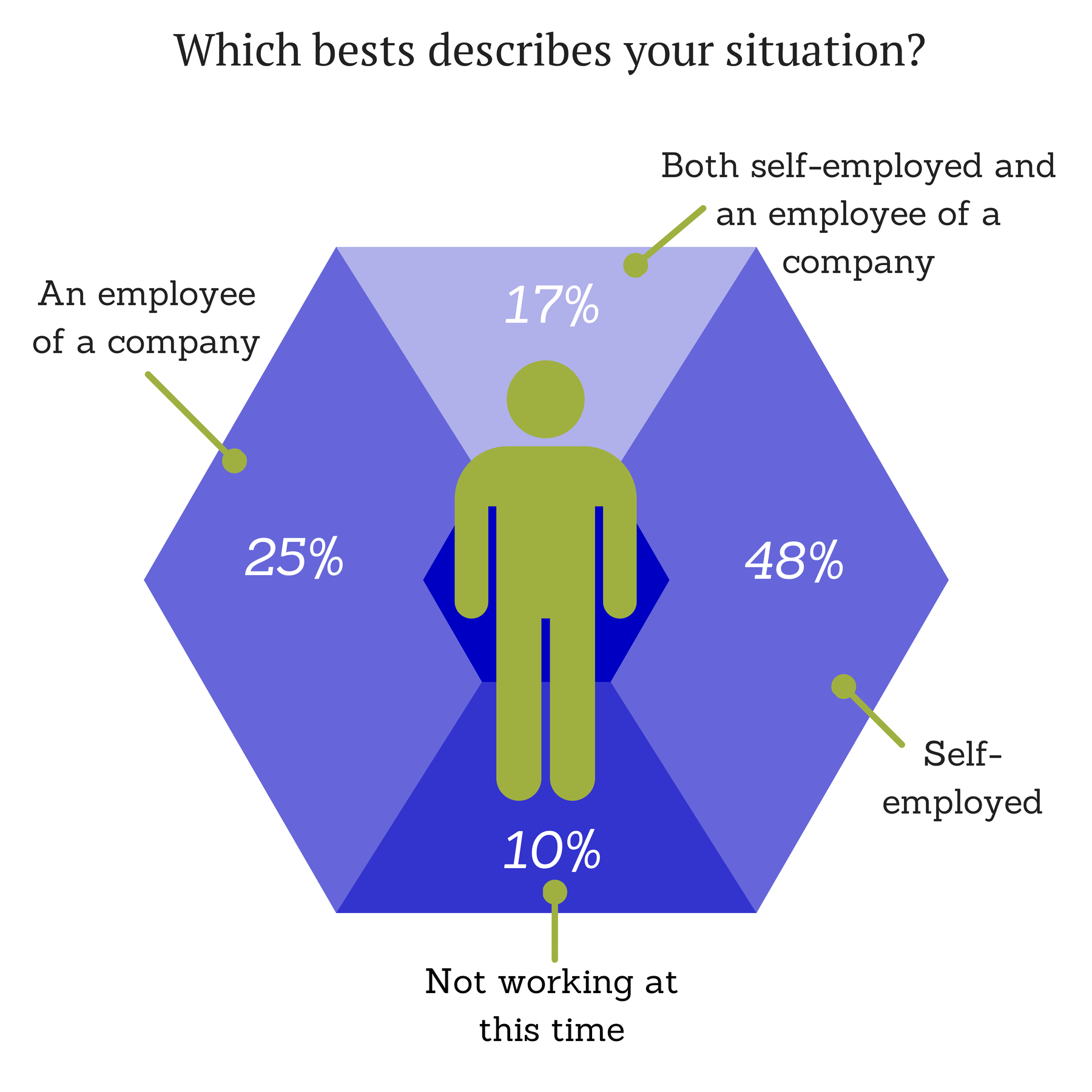 Which best describes your employment situation?
